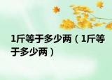 1斤等于多少两（1斤等于多少两）