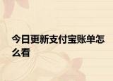 今日更新支付宝账单怎么看