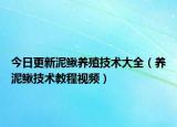 今日更新泥鳅养殖技术大全（养泥鳅技术教程视频）