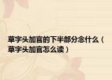 草字头加官的下半部分念什么（草字头加官怎么读）