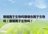 珊瑚属于生物吗珊瑚虫属于生物吗（珊瑚属于生物吗）