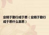 业精于勤行成于思（业精于勤行成于思什么意思）