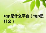 tgp是什么平台（tgp是什么）