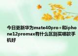 今日更新华为mate40pro+和iphone12promax有什么区别买哪款手机好
