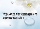 华为p40双卡怎么放置视频（华为p40双卡怎么放）