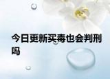 今日更新买毒也会判刑吗