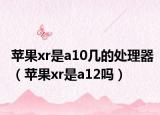 苹果xr是a10几的处理器（苹果xr是a12吗）