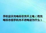 手机显示充电标志充不上电（有充电标志但手机充不进电是为什么）