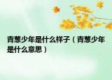 青葱少年是什么样子（青葱少年是什么意思）