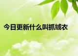 今日更新什么叫抓绒衣
