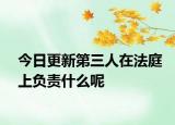今日更新第三人在法庭上负责什么呢