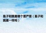虱子和跳蚤哪个更严重（虱子和跳蚤一样吗）
