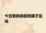 今日更新碳酸钠属于盐吗