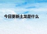 今日更新土龙是什么