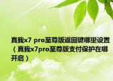 真我x7 pro至尊版返回键哪里设置（真我x7pro至尊版支付保护在哪开启）