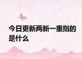 今日更新两新一重指的是什么