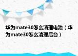 华为mate30怎么清理电池（华为mate30怎么清理后台）