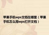 苹果手机wps文档在哪里（苹果手机怎么用wps打开文档）
