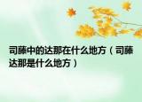 司藤中的达那在什么地方（司藤达那是什么地方）