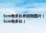 5cm有多长参照物图片（5cm有多长）