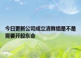 今日更新公司成立清算组是不是需要开股东会