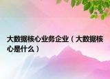 大数据核心业务企业（大数据核心是什么）