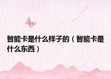 智能卡是什么样子的（智能卡是什么东西）