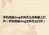 手机微信dwg文件怎么在电脑上打开（手机微信dwg文件怎么打开）