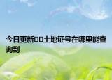 今日更新﻿﻿土地证号在哪里能查询到