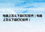 电脑上怎么下载钉钉软件（电脑上怎么下载钉钉软件）