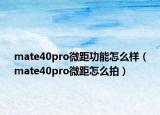 mate40pro微距功能怎么样（mate40pro微距怎么拍）