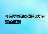 今日更新清水蟹和大闸蟹的区别