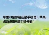 苹果id是邮箱还是手机号（苹果id是邮箱还是手机号码）