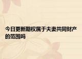 今日更新期权属于夫妻共同财产的范围吗