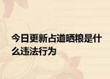 今日更新占道晒粮是什么违法行为