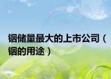 铟储量最大的上市公司（铟的用途）