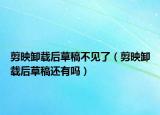 剪映卸载后草稿不见了（剪映卸载后草稿还有吗）