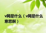 v网是什么（v网是什么意思啊）