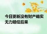 今日更新没有财产确实无力赔偿后果