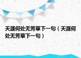 天涯何处无芳草下一句（天涯何处无芳草下一句）