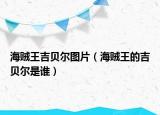 海贼王吉贝尔图片（海贼王的吉贝尔是谁）