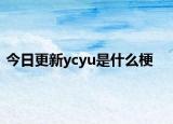 今日更新ycyu是什么梗