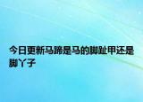 今日更新马蹄是马的脚趾甲还是脚丫子