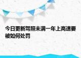 今日更新驾照未满一年上高速要被如何处罚