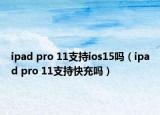 ipad pro 11支持ios15吗（ipad pro 11支持快充吗）
