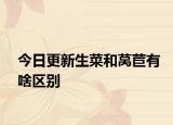 今日更新生菜和莴苣有啥区别