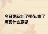 今日更新红了樱花,青了黛瓦什么意思