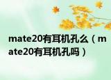 mate20有耳机孔么（mate20有耳机孔吗）