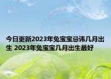 今日更新2023年兔宝宝忌讳几月出生 2023年兔宝宝几月出生最好
