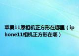 苹果11原相机正方形在哪里（iphone11相机正方形在哪）